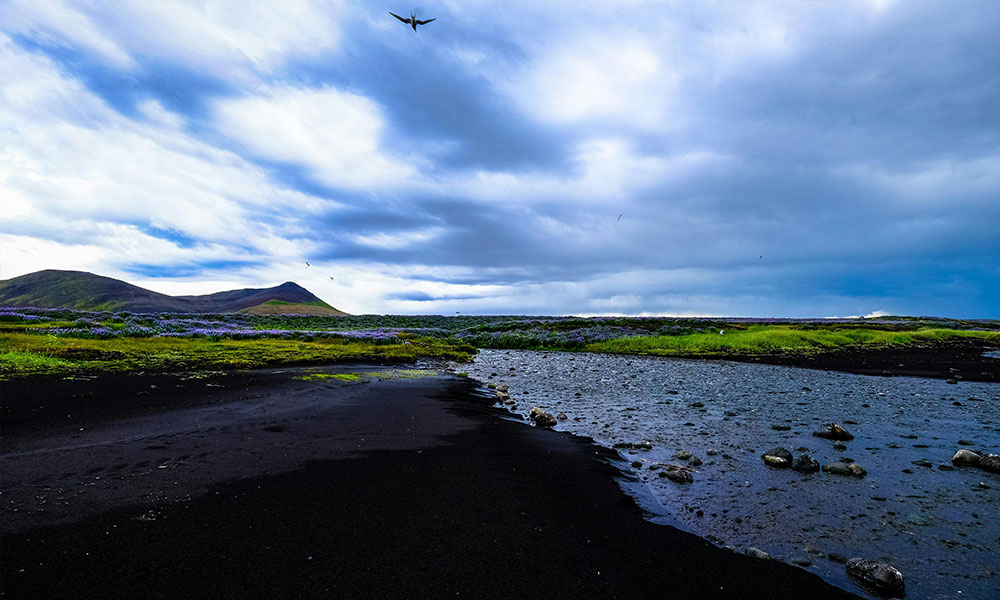 天气查询API集成指南