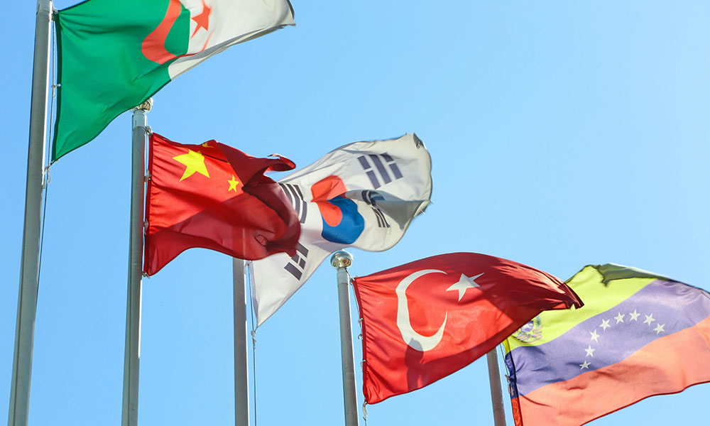 全球国家信息查询API集成指南